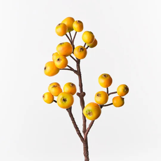 Loquat Spray 59 cm