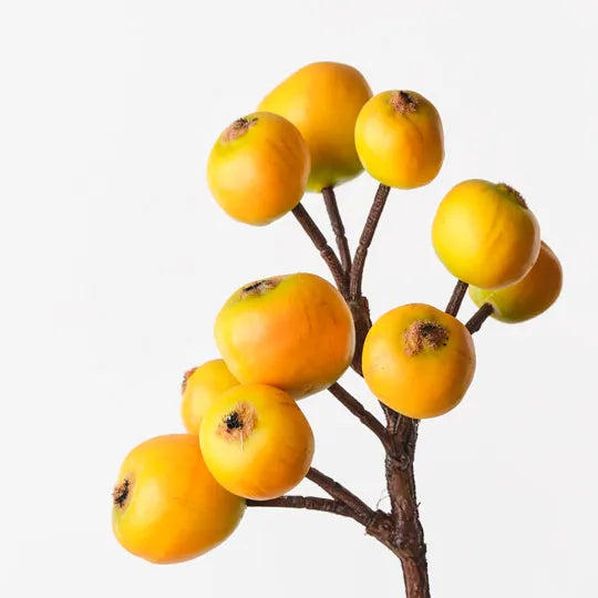 Loquat Spray 59 cm