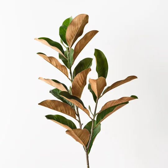 Magnolia Leaf Spray 110 cm