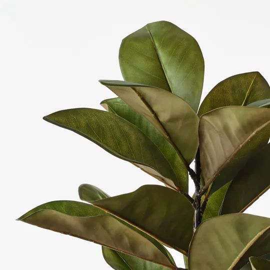 Rubber Leaf Branch 120 cm