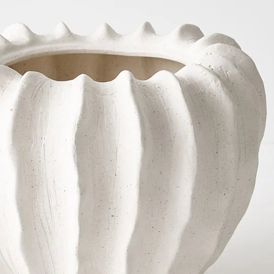 Zasha Pot