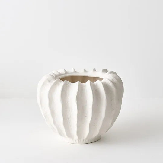 Zasha Pot