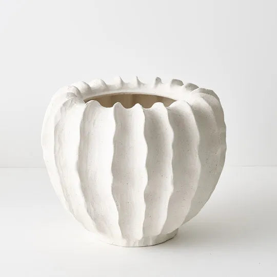 Zasha Pot