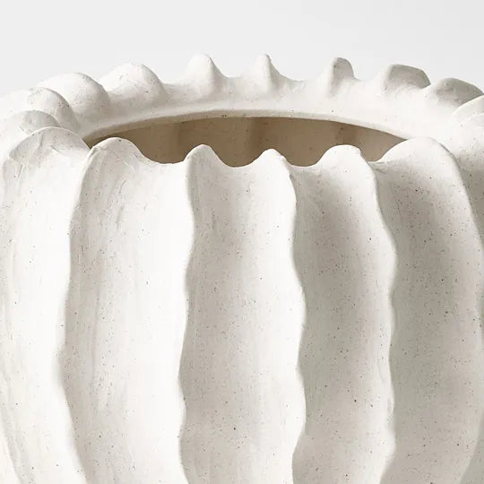 Zasha Pot