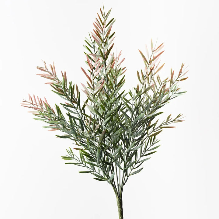 Acacia Leaf Bush 43 cm