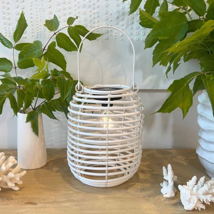 Cali Solar Lantern